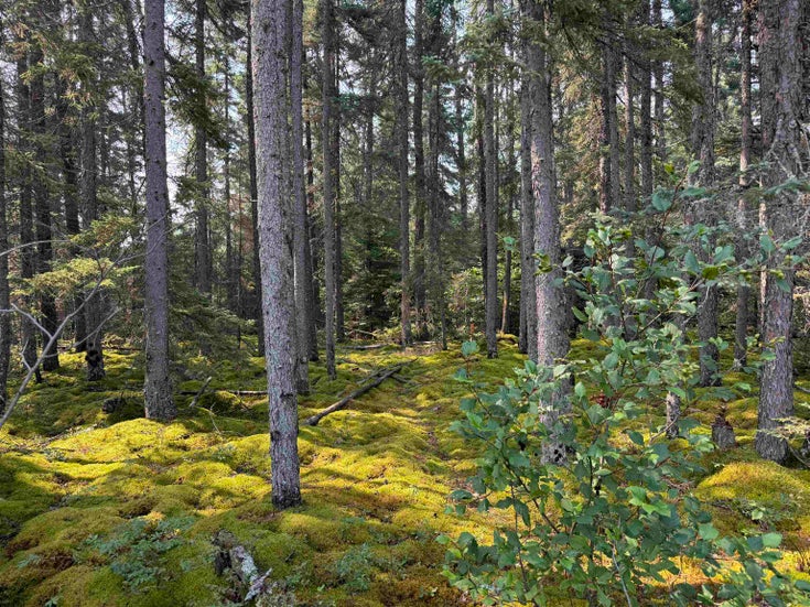 LOT 1 Kinger Road - Kenora for Sale(TB252325)