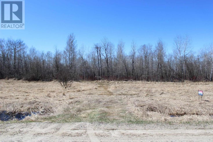 PCL 22094 GOVERNMENT RD - Rainy River for Sale(TB250985)