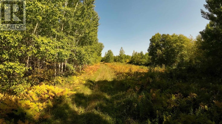 PCL 46-3 GOVERNMENT RD - Rainy River for Sale(TB252880)