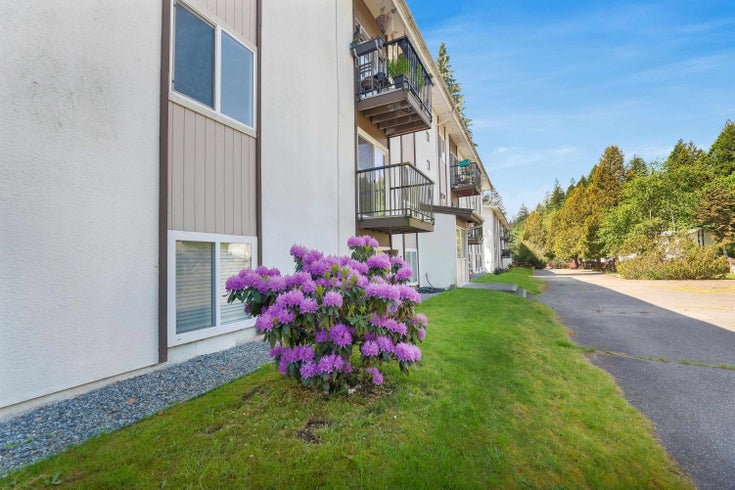 31 - 38175 Westway Avenue - Valleycliffe Apartment/Condo for Sale, 3 Bedrooms (R3007240)