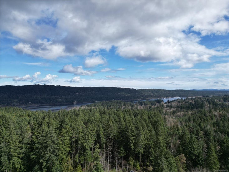 12274 Ivey Rd - Du Ladysmith Land for Sale(1007906)