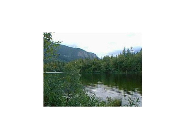 Lot 41 Reid Road - Ivey Lake Estates (V1108580)