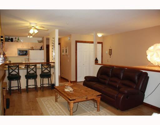 22 7410 Flint Street - Pemberton Apartment/Condo(V809169)