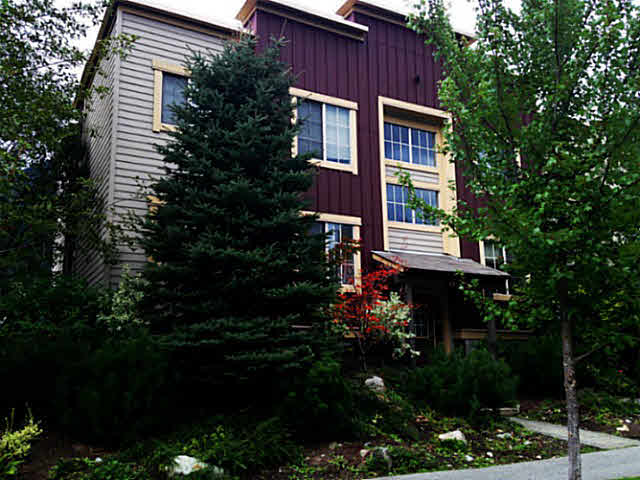 1 1444 Vine Road - Pemberton Apartment/Condo(V1106282)