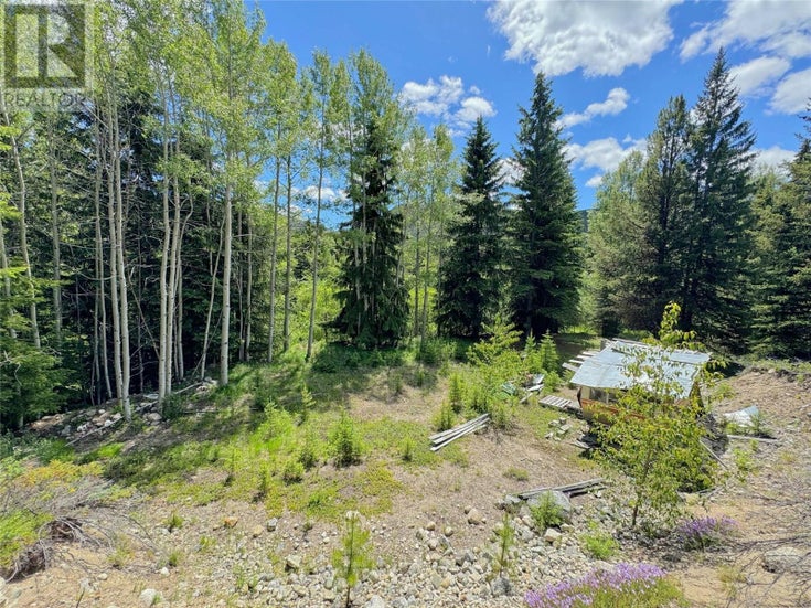 Lot 4 PRINCETON SUMMERLAND Road - Princeton Other for sale(10321528)