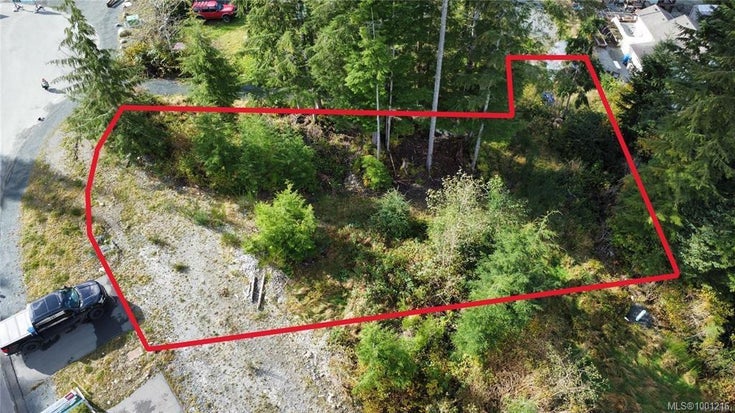 16922 Beachview Dr - Sk Port Renfrew Land for Sale(1001216)