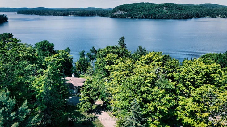 4441 Muskoka Rd 117 Road - Franklin Detached for Sale, 3 Bedrooms (X11965031)