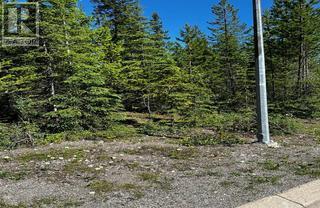 37 DRIFTWOOD Place - Elkford Other for Sale(10332709)