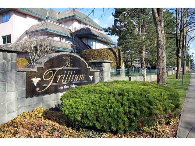 215 21975 49th Avenue - Murrayville Apartment/Condo, 2 Bedrooms (F1442238)