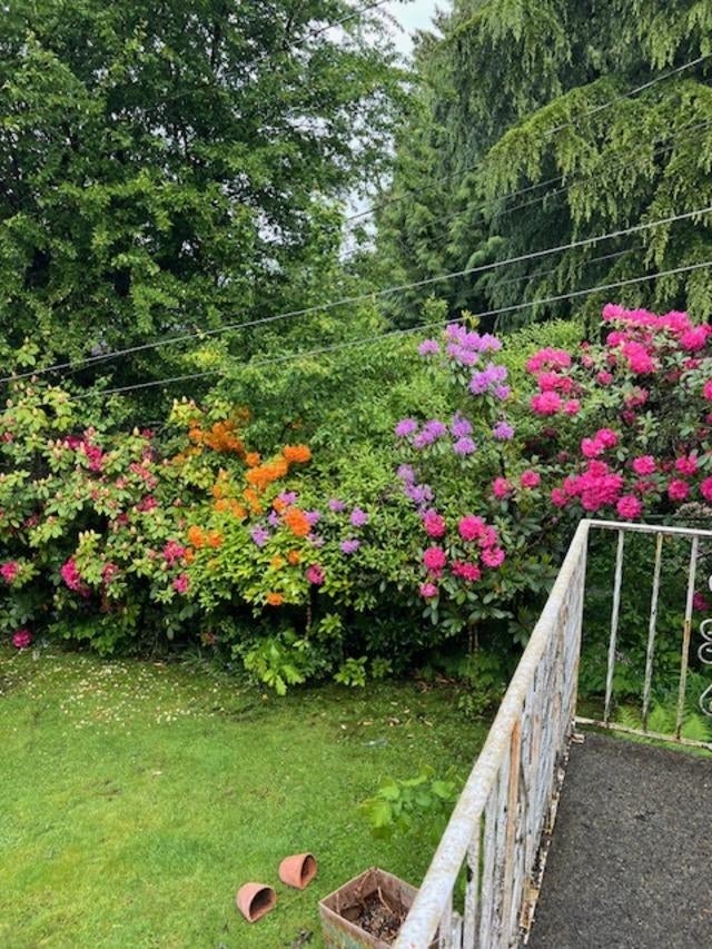 3746 Edinburgh Street - Vancouver Heights Single Family Residence for Sale, 3 Bedrooms (R3046732)# - 28