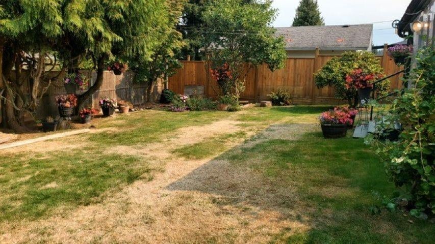 1639 Eden Avenue - Central Coquitlam Single Family Residence for Sale, 3 Bedrooms (R3051615) #10