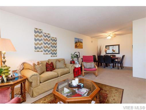 204 290 Regina Ave - SW Tillicum Condo Apartment for sale, 2 Bedrooms (370639) #8