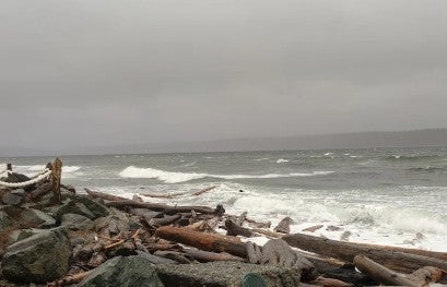 304 - 872 S Island Hwy - Fully Furnished - CR Campbell River South Condo Apartment for Sale, 2 Bedrooms # - 3