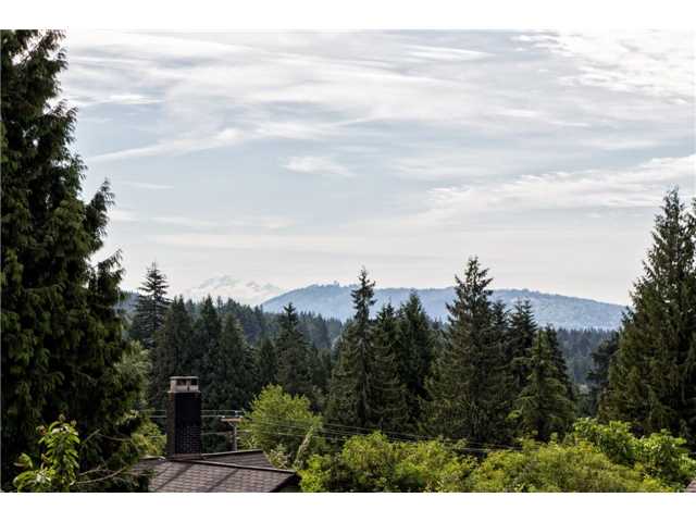 1245 DYCK RD - Lynn Valley House/Single Family for sale, 7 Bedrooms (V1132535) #16