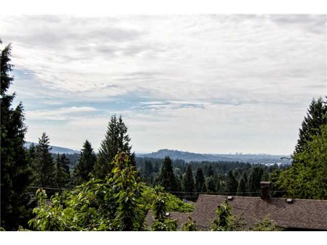 1245 DYCK RD - Lynn Valley House/Single Family for sale, 7 Bedrooms (V1132535) #17