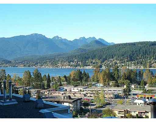 # 403 3001 TERRAVISTA PL - Port Moody Centre Apartment/Condo, 2 Bedrooms (V294325)