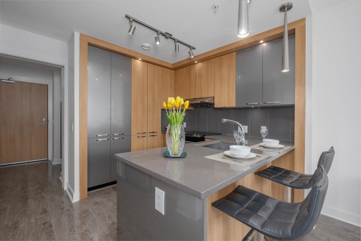 302 733 W 14TH STREET - Mosquito Creek Apartment/Condo for sale, 1 Bedroom (R2694238)