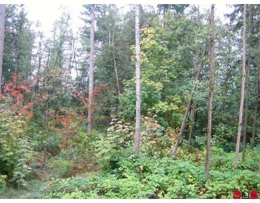 # 148 15168 36TH AV - Morgan Creek Townhouse for sale, 3 Bedrooms (F2833862) #1