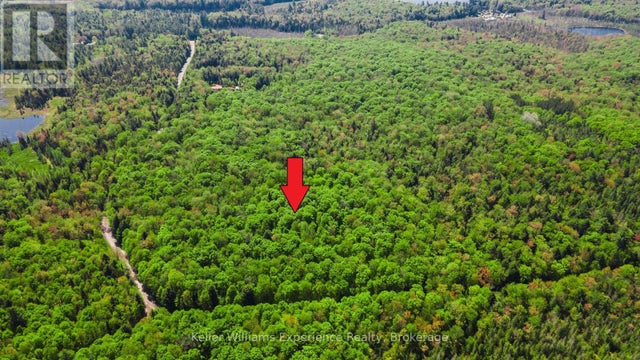 0 HEALEY LAKE ROAD - Bracebridge (macaulay) for Sale(X12074830)