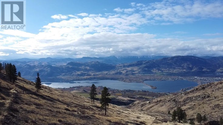 110 Chapman Road - Osoyoos House for Sale, 3 Bedrooms (10333566)