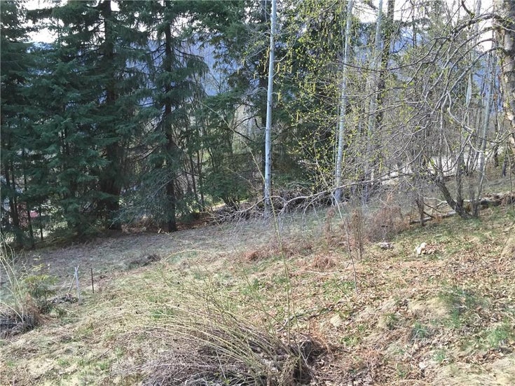 Lot 2 MOUNTAIN Road  - Nelson No Building(2412936)