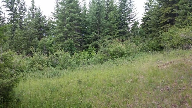 South 1/2 Lot 7 Bonnington Road Nelson B.C. Real Estate