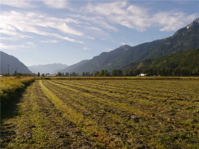 9209 Pemberton Meadows Road - Pemberton Meadows (V1084120)