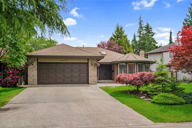 16239 SOUTHGLEN PLACE - Fraser Heights House/Single Family for sale, 3 Bedrooms (R2882450)