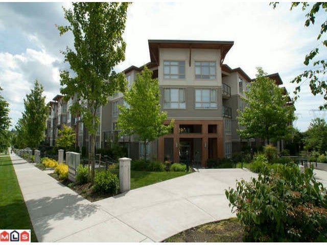 # 305 15918 26TH AV - Grandview Surrey Apartment/Condo, 1 Bedroom (F1115027)