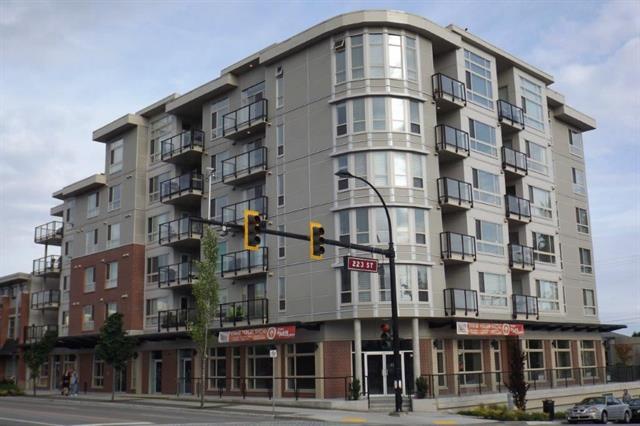 403 22318 Lougheed Highway - West Central Apartment/Condo for sale, 1 Bedroom (R2224181)
