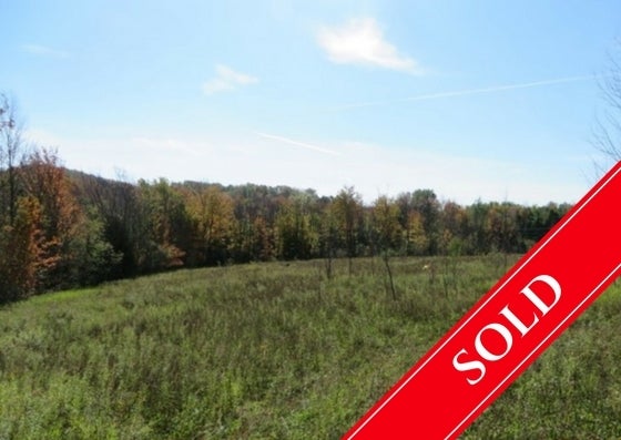 Part Lot 3 Concession 12 - Meaford Vacant Land for sale(421048000506700)