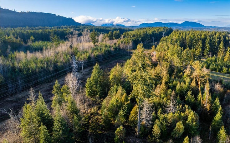 12274 Ivey Rd - Du Ladysmith Unimproved Land for sale(924553)