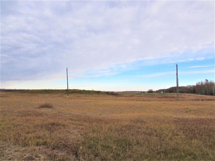 106 Alberta Street  - Other Residential Land for Sale(A1156338)