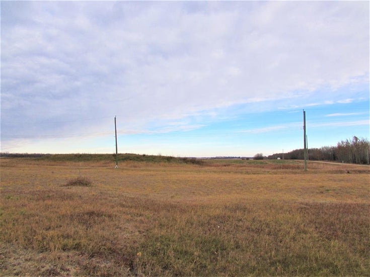 106 Alberta Street  - Other Residential Land for sale(A1156338)