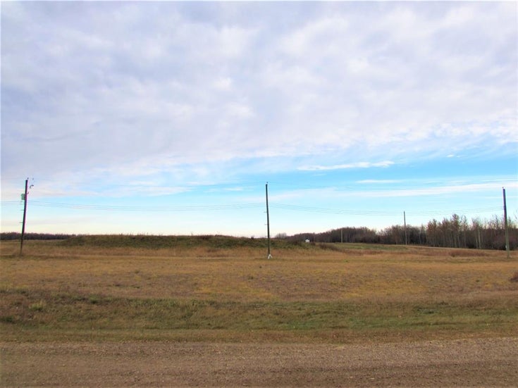 108 Alberta Street  - Other Residential Land for Sale(A1156341)