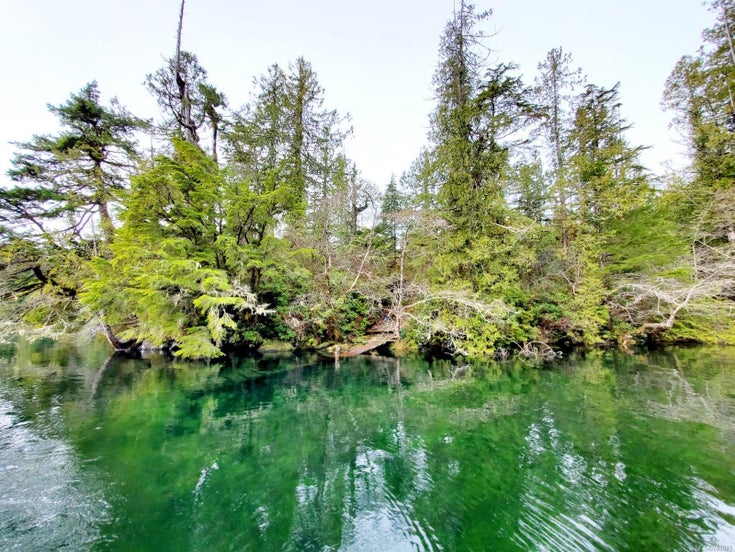 LT 3 Cypress Bay - PA Tofino Single Family Residence for Sale, 1 Bedroom (740889)