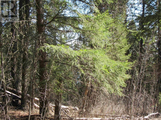 LOT 104 JULSRUD ROAD - Deka Lake Sulphurous Hathaway Lakes for Sale(R2982942)