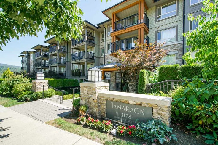 204 3178 DAYANEE SPRINGS BOULEVARD - Westwood Plateau Apartment/Condo for sale, 2 Bedrooms (R2295875)