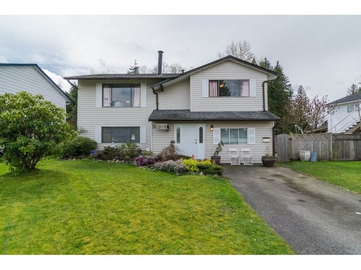 20552 50A AVENUE - Langley City House/Single Family for sale, 3 Bedrooms (R2157062)