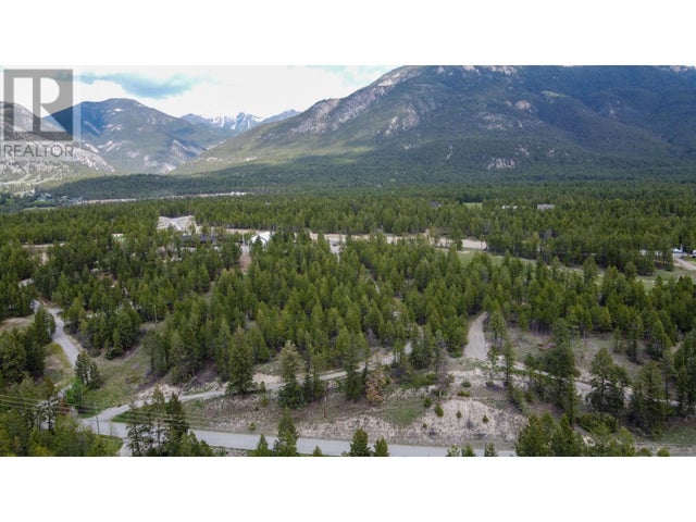 2088 KOOTENAY #3 Road - Windermere Other for Sale(10347964)