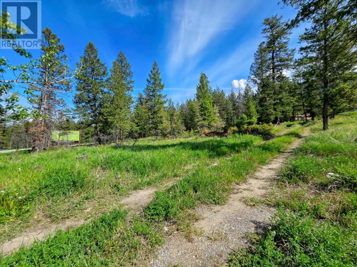 Lot 4 93/95 Highway - Fairmont Hot Springs Other for Sale(10348998)