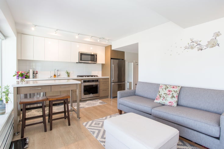 207 384 E 1ST AVENUE, Vancouver Mount Pleasant E - Mount Pleasant VE Apartment/Condo, 1 Bedroom (R2262549)