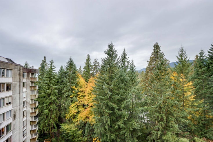 1212 - 2016 Fullerton Avenue - Pemberton NV Apartment/Condo for Sale, 1 Bedroom (R3063335)