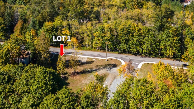 Lot 1 ELK Rd - Du Lake Cowichan Land(971416)