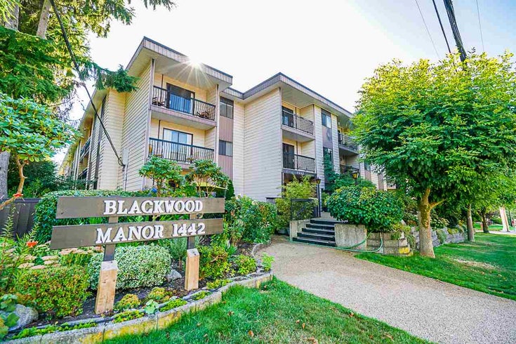 221 1442 BLACKWOOD STREET - White Rock Apartment/Condo for sale, 1 Bedroom (R2491878)