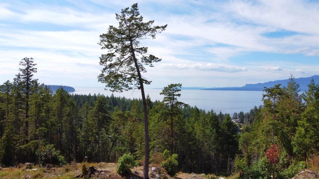 Lot 33 Wood Bay Ridge Road - Halfmn Bay Secret Cv Redroofs Land for Sale(R2999371)