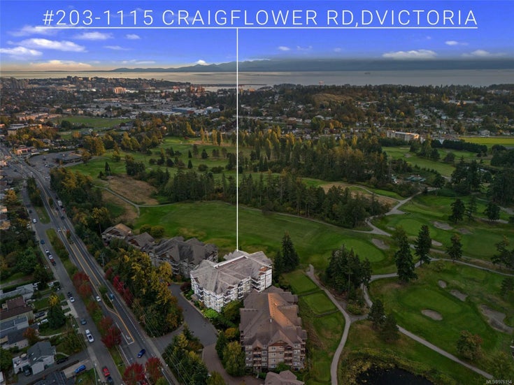 203D 1115 Craigflower Rd - Es Gorge Vale Condo Apartment, 2 Bedrooms (976154)