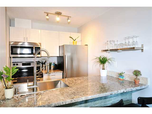 # 713 1040 PACIFIC ST - West End VW Apartment/Condo for sale, 1 Bedroom (V1010008)