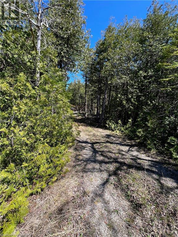 LOT 32 CON 3 HIGHWAY 6 - South Bruce Peninsula for sale(40581108)