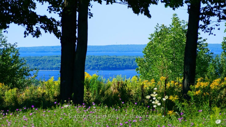 LT 38 Grahams Hill Road - Georgian Bluffs Vacant Land for Sale(X12141160)